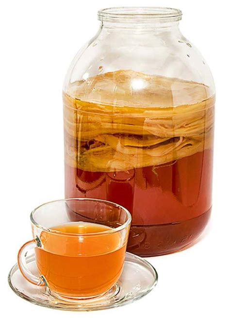 fermented tea kombucha