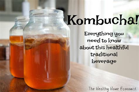 fermented tea kombucha benefits