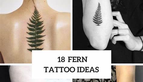 40+ Beautiful Fern Frond Tattoo Designs - TattooBlend