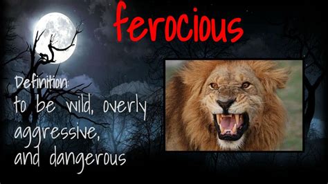 ferocious meaning in english with example
