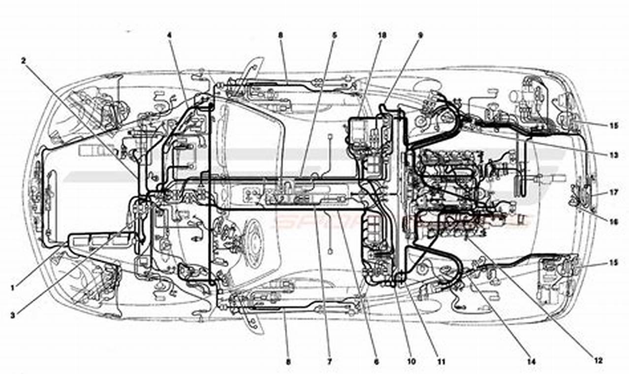 Ferrari 360 Wiring Diagram
