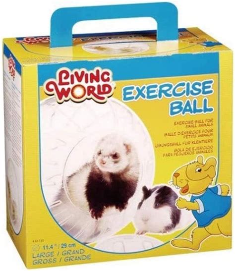 Ferret Exercise Ball