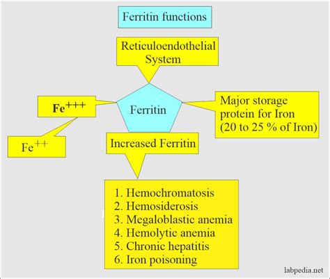Ferritin Level Diagnosis Code