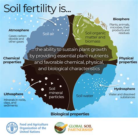Fertile Soil Characteristics