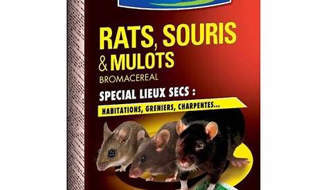 Fertiligene Rat Et Souris KB s Blocs 240 G Achat / Vente