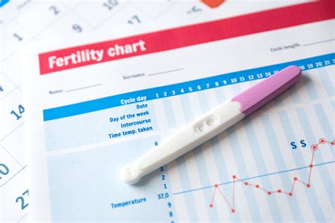 Fertility Testing Day 3 Cycle