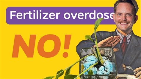 Fertilizer Overdose Plants