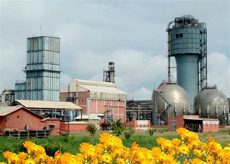 Fertilizer Plant Vacancy