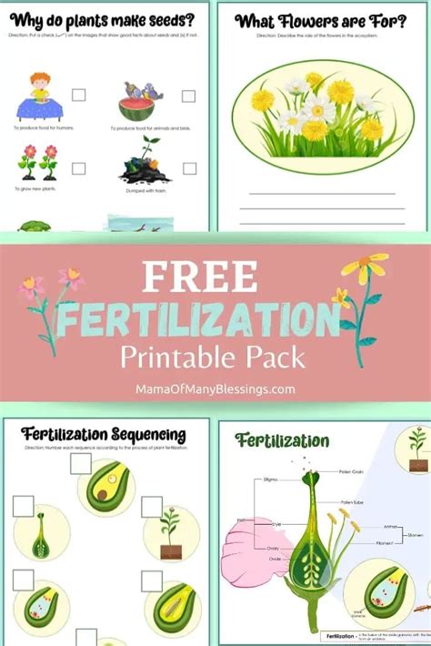 Fertilizer Worksheet Kids