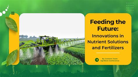 Fertilizers Crop Solutions
