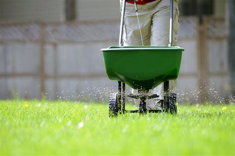 fertilizing lawn Weddington NC