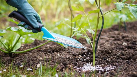 Garden Fertilizer Types + When & How to Fertilize Garden Design