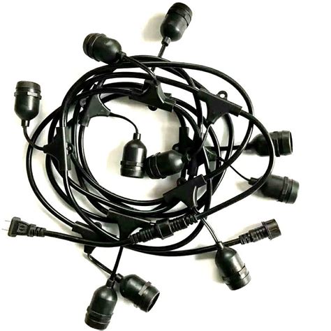 Festoon Lamp Meaning