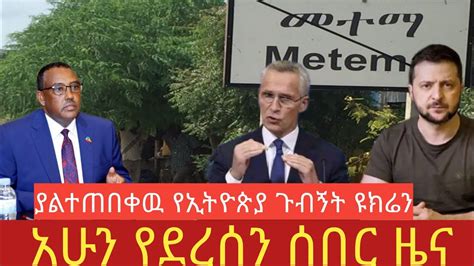 feta daily amharic news today