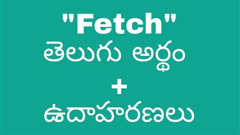 fetch data meaning in telugu