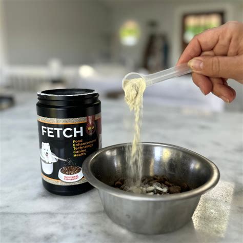 Fetch Dog Food Discount Code