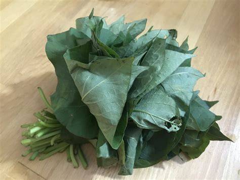 Cuisiner et consommer les feuilles de patates douces Cuisine Végétale