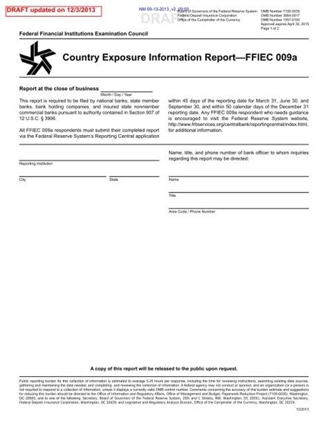 ffiec 009 report form