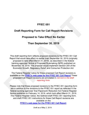 ffiec call report 051