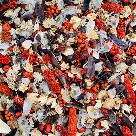 Ffxi Potpourri Farming