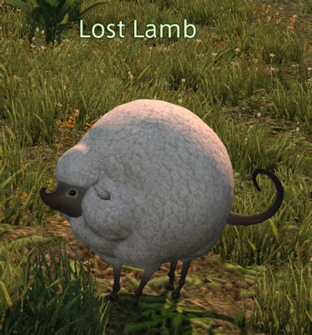 Ffxiv Lamb Pet