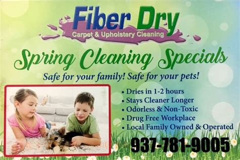 home.furnitureanddecorny.com:fiber dry carpet amp