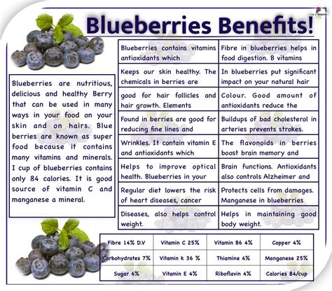 Unlock the Power of Fiber in Blueberries for Better Health