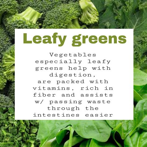 Fiber In Leafy Greens