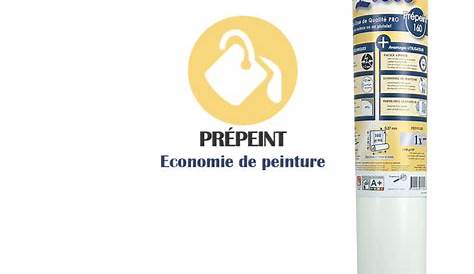 Fibre De Verre Lisse Prepeinte ADFORS SAINTGOBAIN Voile Prépeint 250g