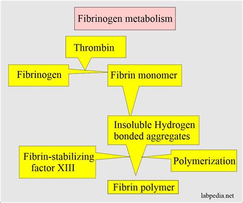 fibrinogen adalah