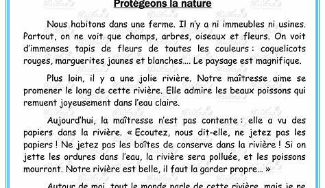 Fiche De Lecture Francais 5eme 5ème Année Primaire Français Cours, Sujets Examens