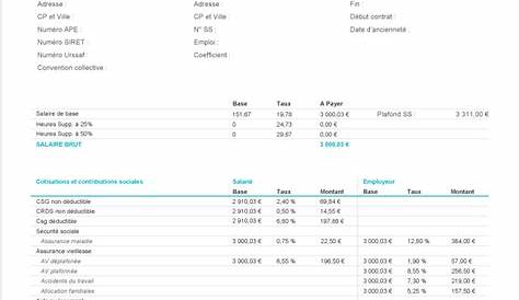 Modele De Bulletin De Paie Gratuit Grovely