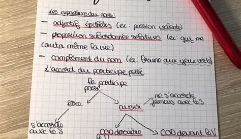 FICHES DE RÉVISION FRANÇAIS BREVET 3E