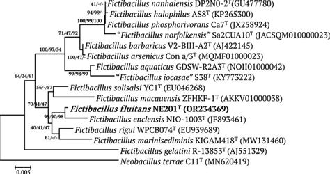 Fictibacillus Sp