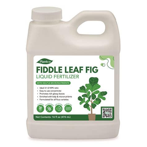 Fiddle Leaf Fig Care Fertilizer