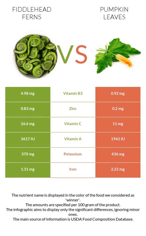 Fiddlehead Nutrition