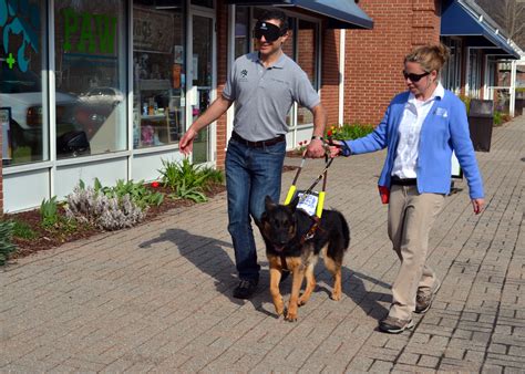 fidelco guide dog foundation careers