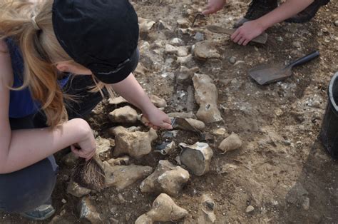 Can you dig it? What can you do with an archaeology degree besides be