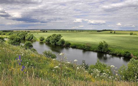 field and stream