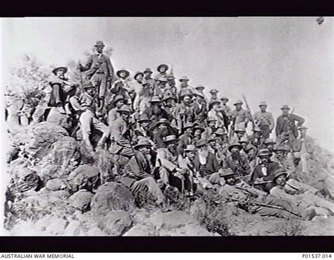 Field Cornets Definition