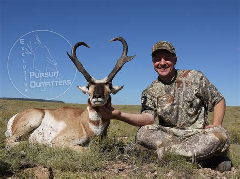 Field Dressing Antelope