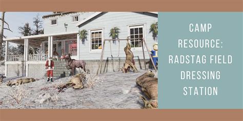 Field Dressing Station