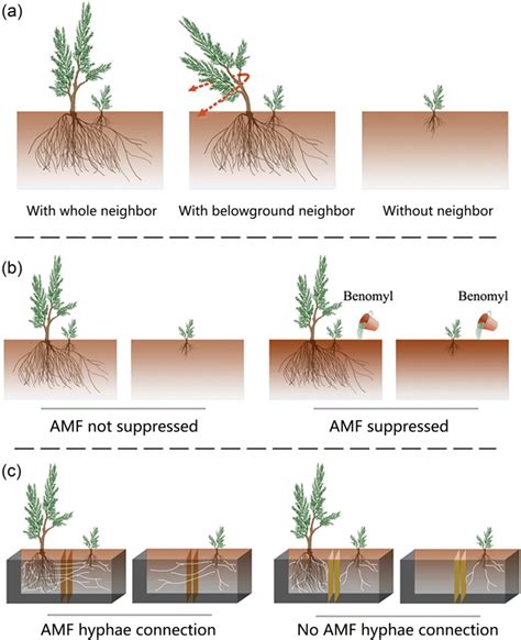 Field Experiment Design Examples