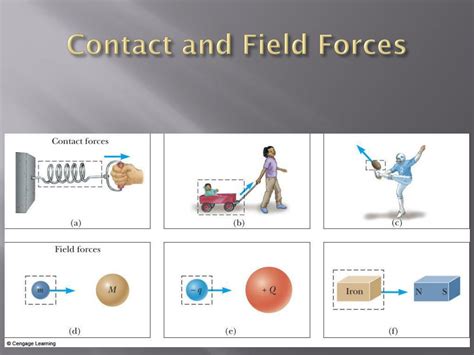 Field Force Examples Images