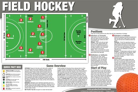 Field Hockey Basic Rules