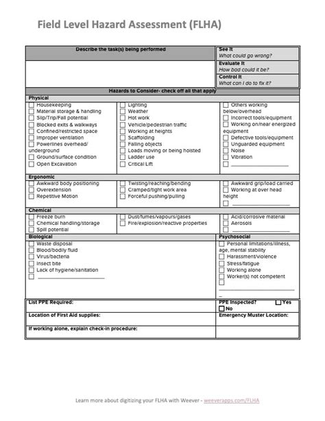 field level hazard assessment form template
