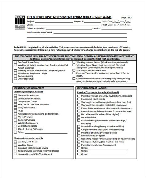 Field Level Risk Assessment Form