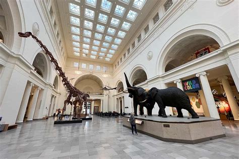 Field Museum How Long