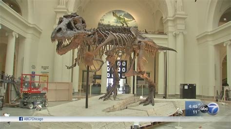 Field Museum In Chicago To Host Exhibit Sleepovers For Adults