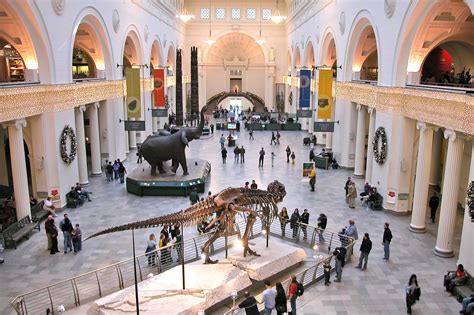 field museum of natural history